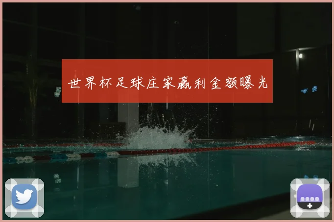 世界杯足球庄家赢利金额曝光