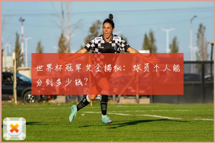 世界杯冠军奖金揭秘：球员个人能分到多少钱？