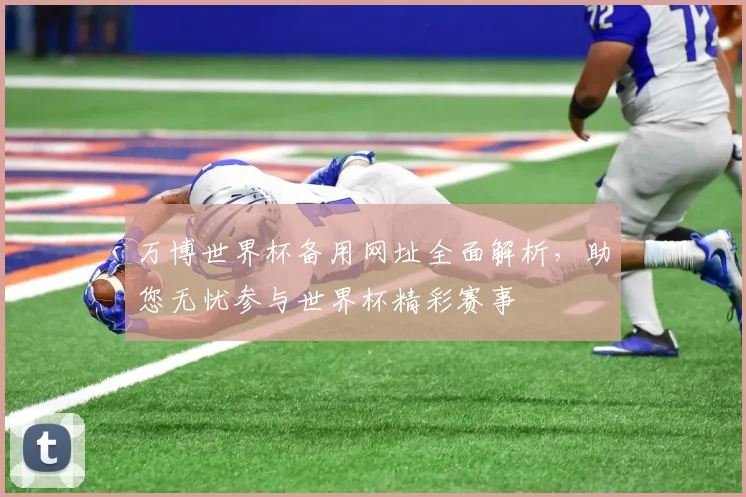 万博世界杯备用网址全面解析，助您无忧参与世界杯精彩赛事
