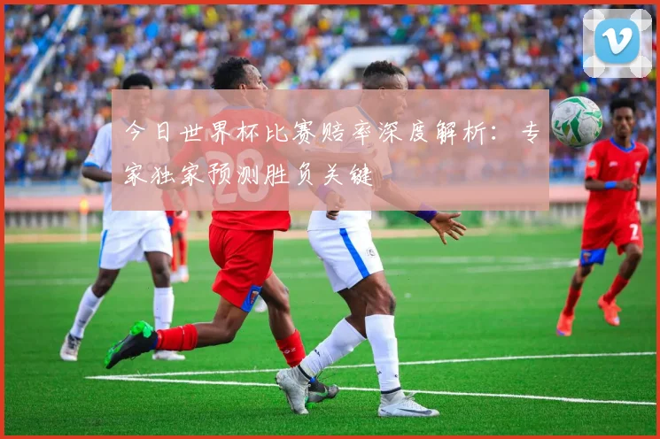 今日世界杯比赛赔率深度解析：专家独家预测胜负关键