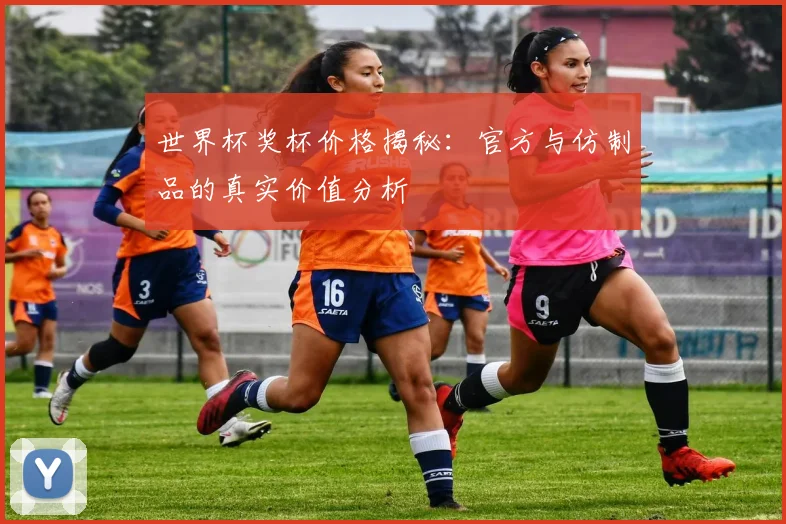 世界杯奖杯价格揭秘：官方与仿制品的真实价值分析