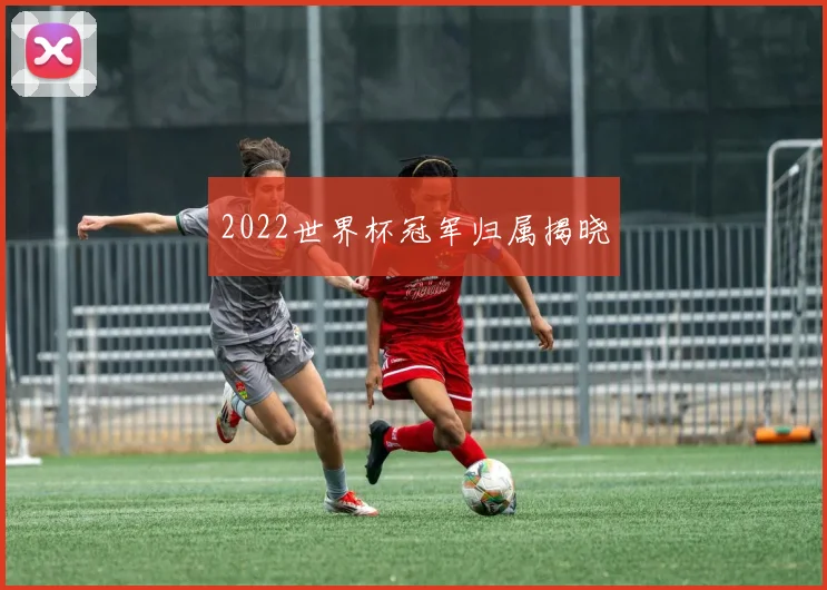 2022世界杯冠军归属揭晓
