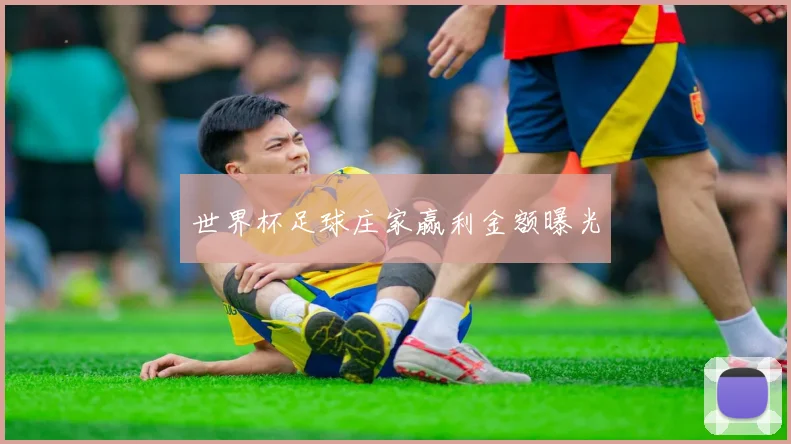 世界杯足球庄家赢利金额曝光