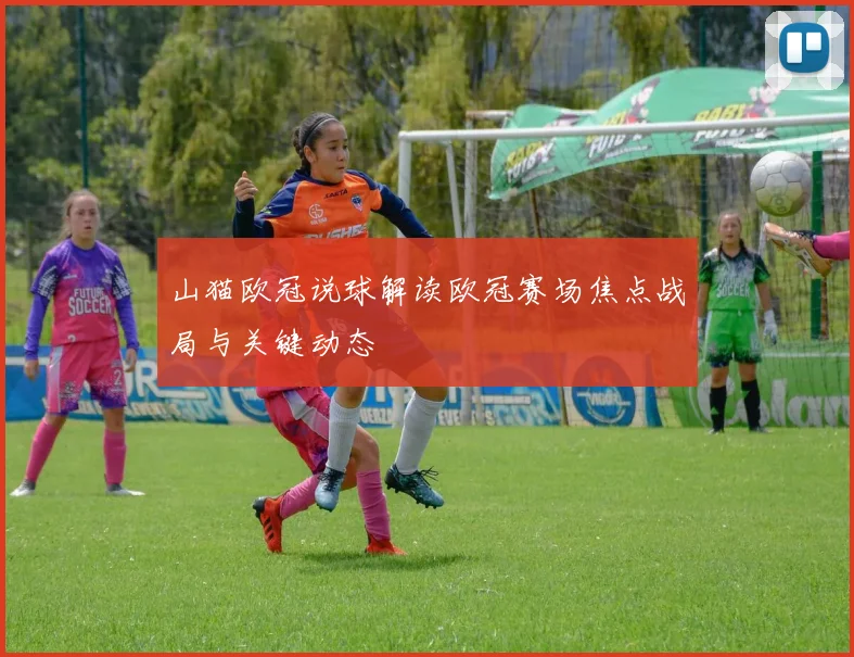 山猫欧冠说球解读欧冠赛场焦点战局与关键动态