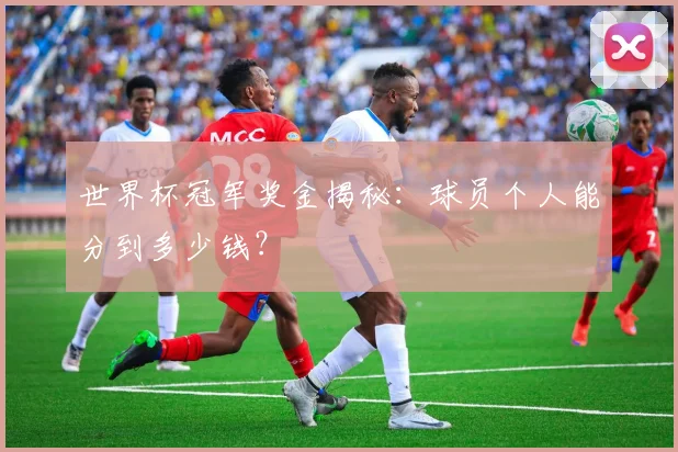 世界杯冠军奖金揭秘：球员个人能分到多少钱？