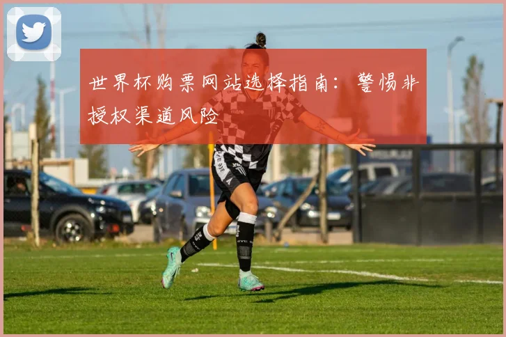 世界杯购票网站选择指南：警惕非授权渠道风险