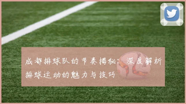 成都排球队的节奏揭秘：深度解析排球运动的魅力与技巧