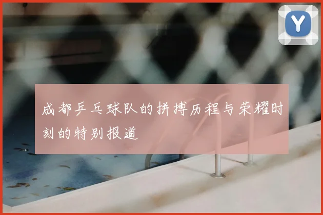 成都乒乓球队的拼搏历程与荣耀时刻的特别报道