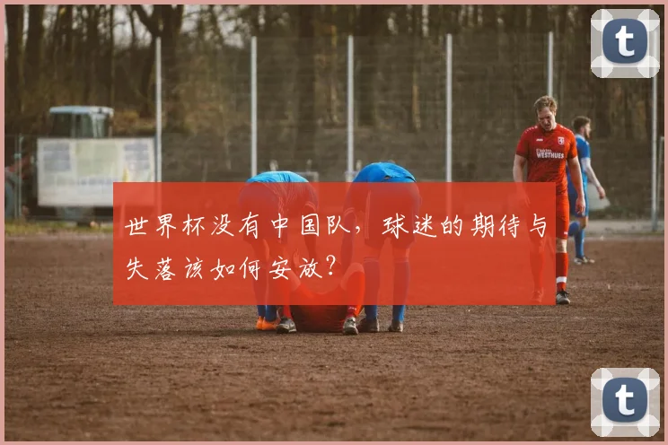 世界杯没有中国队,球迷的期待与失落该如何安放?
