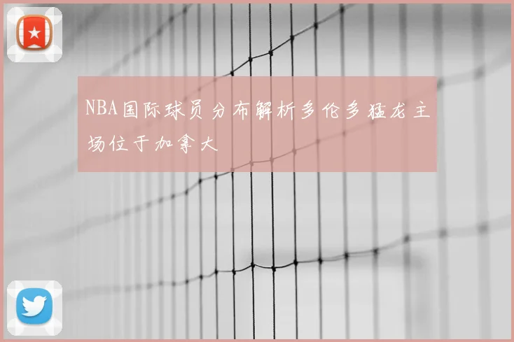 NBA国际球员分布解析多伦多猛龙主场位于加拿大