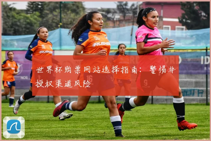 世界杯购票网站选择指南：警惕非授权渠道风险