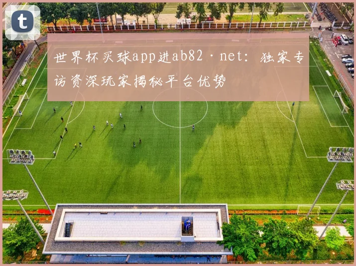 世界杯买球app进ab82·net：独家专访资深玩家揭秘平台优势