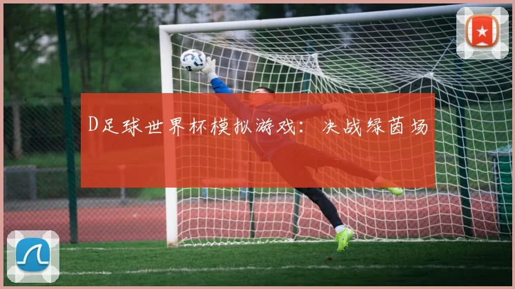 D足球世界杯模拟游戏:决战绿茵场